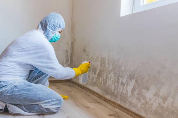 Licensed Mold Remediation service in Glassboro, NJ - 24 Hour Mold Removal