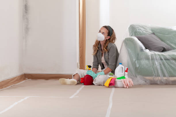 Reliable Mold Remediation contractor in Glassboro, NJ by 24 Hour Mold Removal